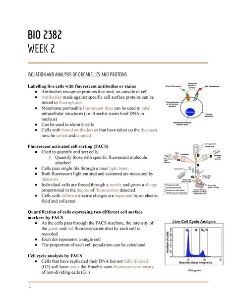 Course delivery and assessment with respect to the COVID-19 pandemic. . Bio 3326 uwo reddit